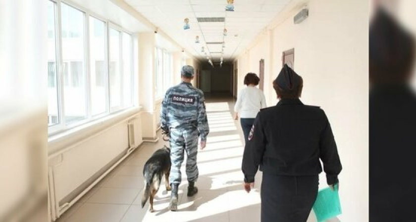 Перед  Днем знаний все школы Новороссийска проверят полицейские с собаками