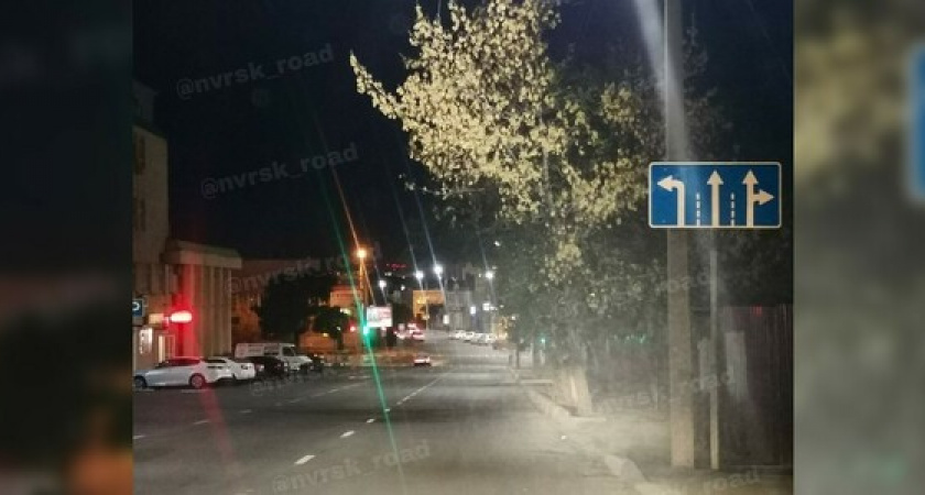 В Новороссийске появился новый пешеходный переход и изменилась схема организации движения на одном из перекрестков