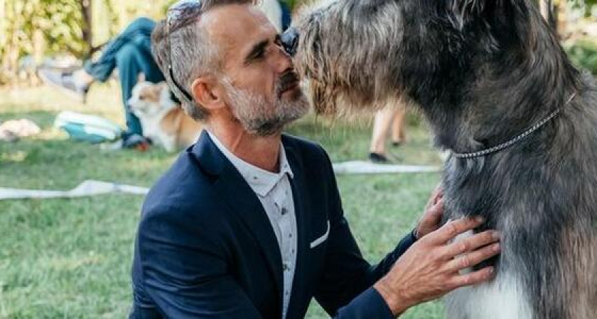 Выставка-фестиваль Dog Picnic прошла в Абрау-Дюрсо