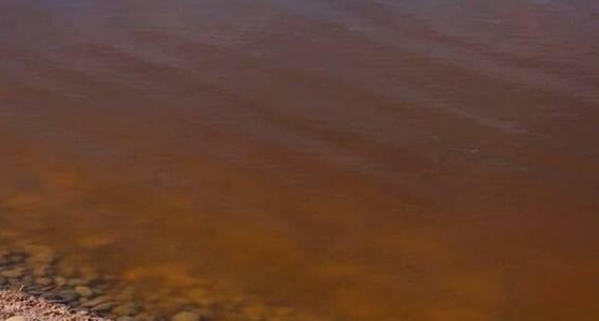«Вода протухает». Суджукская лагуна в Новороссийске стала коричневой