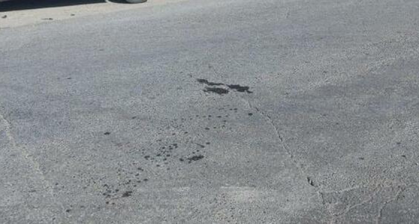 Под Новороссийском «Калина» не уступила дорогу подростку на мопеде