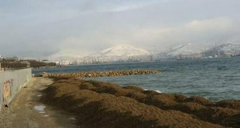 В Новороссийске откроется новый благоустроенный пляж