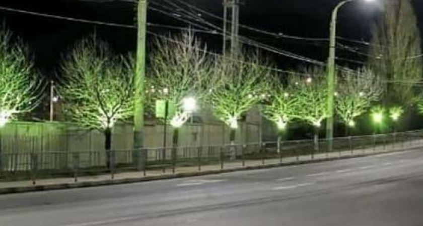 В Восточном районе Новороссийска оформили подсветку деревьев