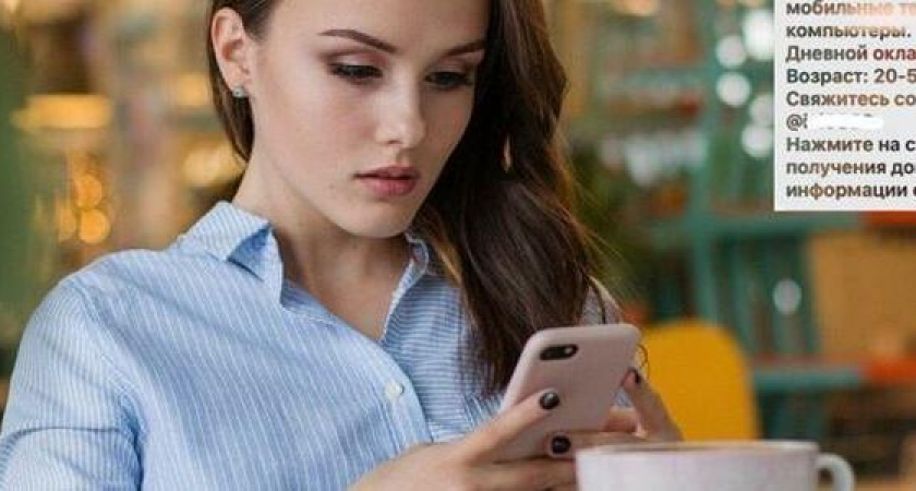 "50 000 рублей в день, нужен только телефон!": новороссийцы массово получают смс-рассылки с приглашением на высокооплачиваемую работу