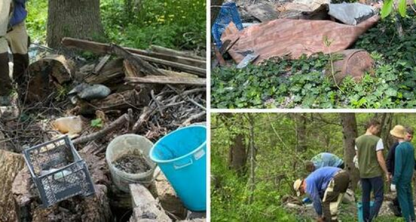 Детали от холодильника, бутылки и строительный мусор: новороссийские активисты убрали мусор в загаженной Цемесской роще