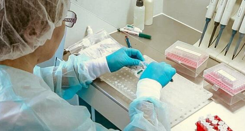 В Краснодарском крае за сутки выявили 30 новых больных коронавирусом