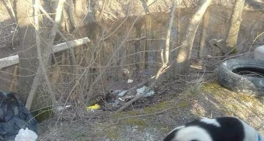 Строительный мусор, пакеты и открытые колодцы с ручьем: новороссийские активисты проверили состояние Пионерской рощи