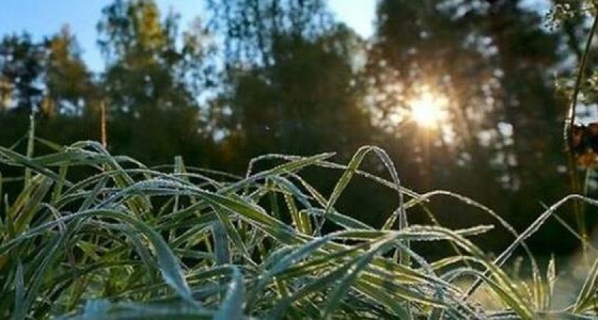 Заморозки до - 5 градусов ожидаются в Краснодарском крае