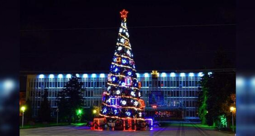 Власти Новороссийска потратят почти 7 миллионов на покупку новой ели с гирляндами и игрушками