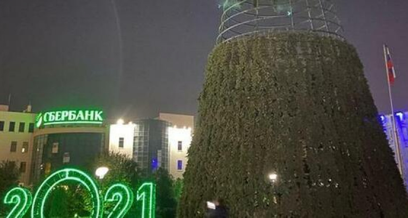 В Новороссийске начали устанавливать главную новогоднюю елку