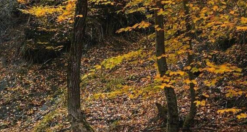 Последний день осени: 20 завораживающих осенних фото и видео Новороссийска и окрестностей