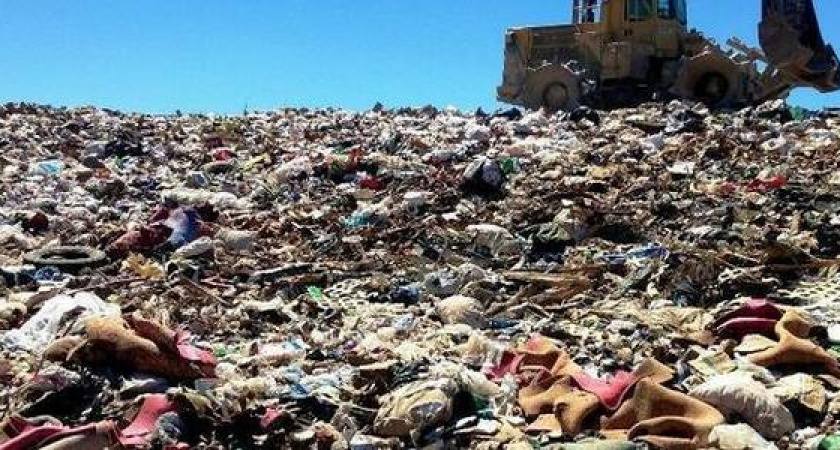 На свалке в Анапе нашли отрубленную женскую руку