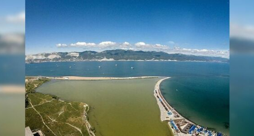 Афиша Новороссийска на неделю: субботник на Суджукской лагуне и спортивный праздник