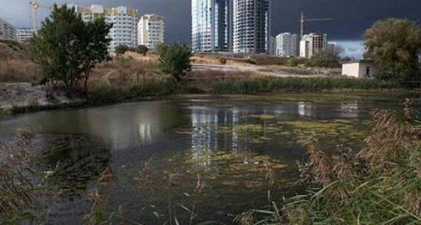 Какая общественная территория Новороссийска вырвалась вперёд в голосовании на благоустройство?