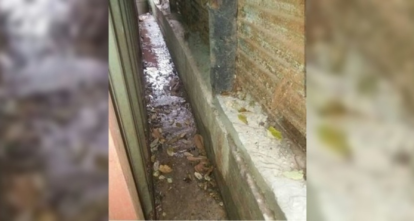 «Уже нет сил с ними бороться»: мини-гостиница регулярно топит фекалиями участок жительницы Новороссийска