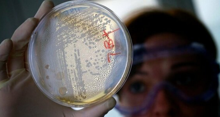 «Рекомендуем пить кипяченую воду»: в Роспотребнадзоре Новороссийска прокомментировали ситуацию с эпидемией кишечной инфекции в станице Раевской