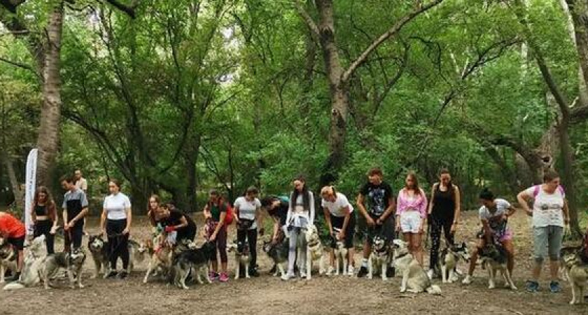В Новороссийске впервые прошел забег «Хаски Трейл»