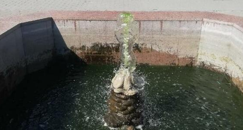 «Вонь невыносимая!»: в центре Новороссийска бьет фонтан с зеленой водой