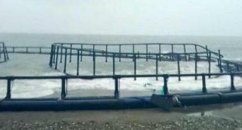 Рыбаки Новороссийска ждут форель: в Сочи шторм снова выбросил на берег рыбоводческую ферму