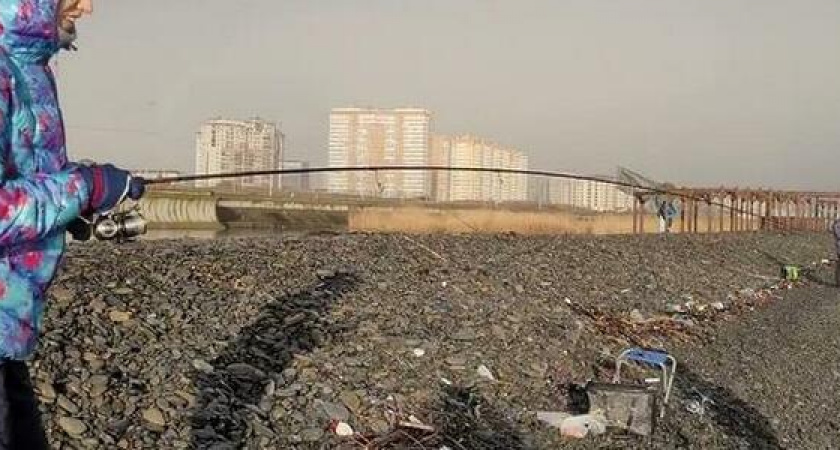 Рыбная лихорадка: новороссийцы штурмуют пляжи, «охотясь» на форель, которая уплыла в море из частного рыбхозяйства в Сочи