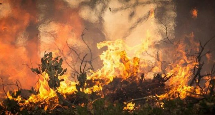 В Новороссийске объявлен четвертый класс пожароопасности