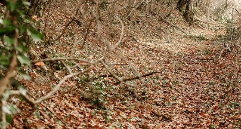 Бесплатная прогулка по пешему маршруту Абрау-Дюрсо