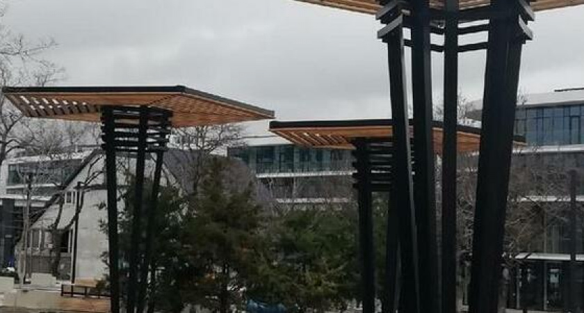 «Бетонные джунгли или парк, утопающий в зелени?»: как благоустраивают парк Фрунзе в Новороссийске