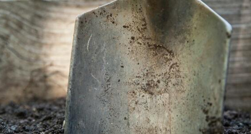 Житель Новороссийска обнаружил бомбу времен ВОВ, сажая дерево у себя в саду