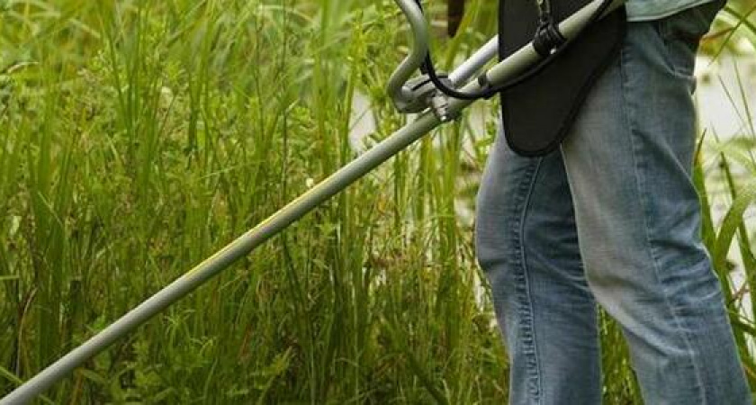 Новороссиец может сесть в тюрьму на пять лет за кражу газонокосилки