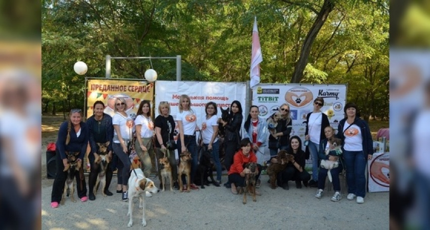 На выставке бездомных животных в Новороссийске 32 питомца нашли себе дом