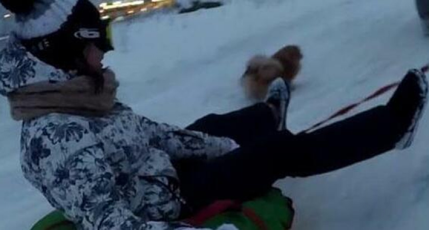 Новороссийцев будут штрафовать за экстремальные катания на санках