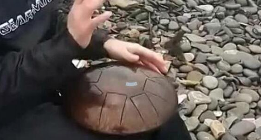 В Новороссийске на мысе Суджук мужчина дал концерт на глюкофоне