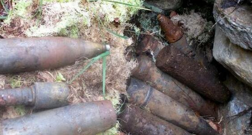 Под Новороссийском нашли склад с оружием. Общая масса взрывчатки — 20 килограмм в тротиловом эквиваленте