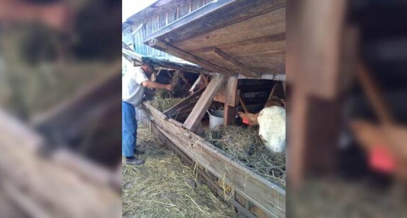 Фермер из Новороссийска получит грант на развитие хозяйства