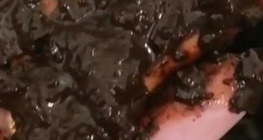 «Эту воду мы пьем!»: новороссийка показала фильтр для воды, покрытый слоем жидкой грязи после четырех месяцев использования