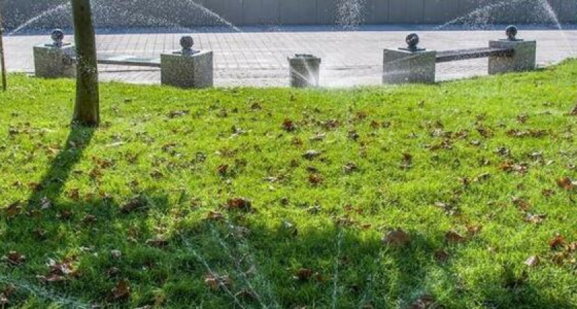 Лето возвращается: прогноз погоды на рабочую неделю