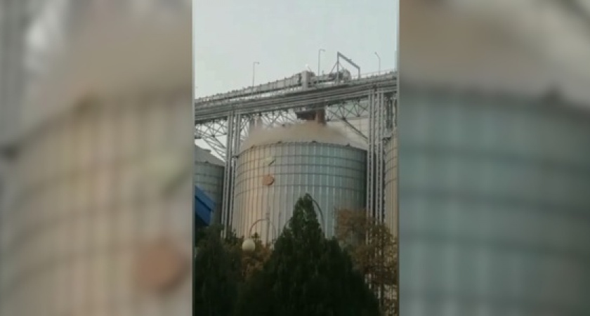 «Нас травят!»: жители сняли на видео, как с элеватора в Новороссийске сыпется зерновая пыль