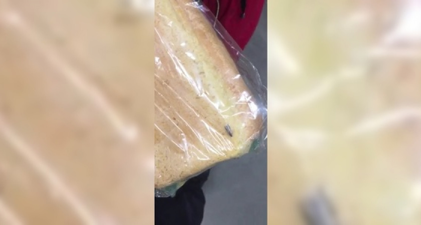 Горожане обнаружили таракана, ползающего по хлебу, в одном из гипермаркетов Новороссийска