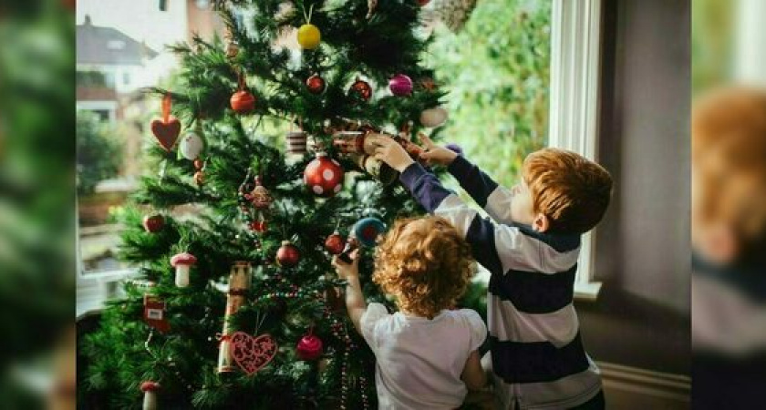В центре елки дешевле, чем в пригороде. Как новороссийцам сэкономить при покупке новогоднего дерева?