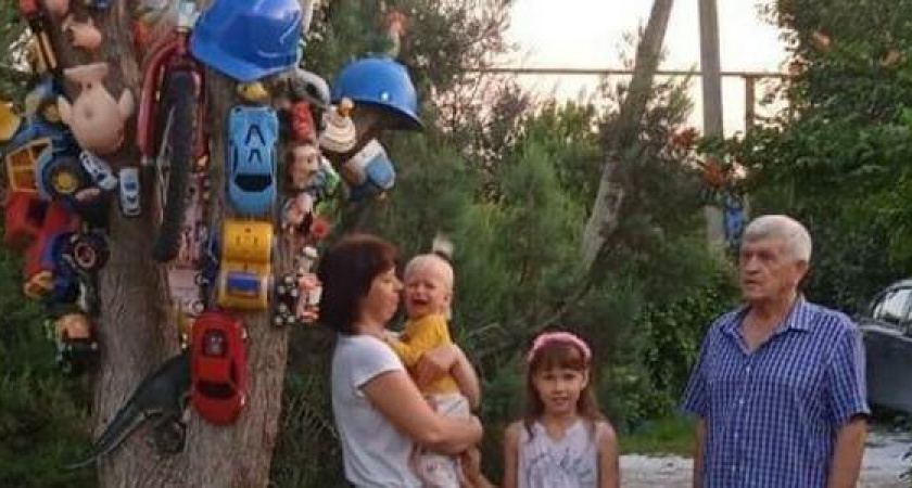 Под Новороссийском появилось "игрушковое" дерево