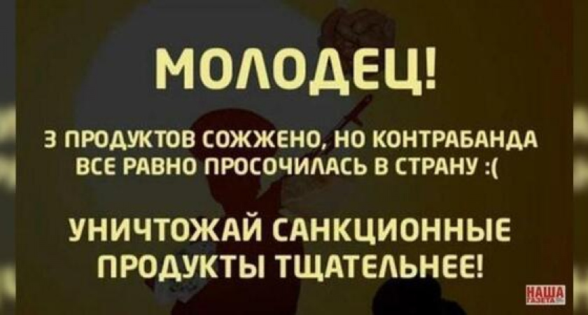 «Антисанкции: Жги импорт!»: в Google play появилась игра, в которой нужно уничтожать санкционные продукты