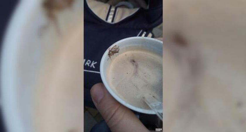 В Новороссийске горожанка в кофе из автомата обнаружила таракана