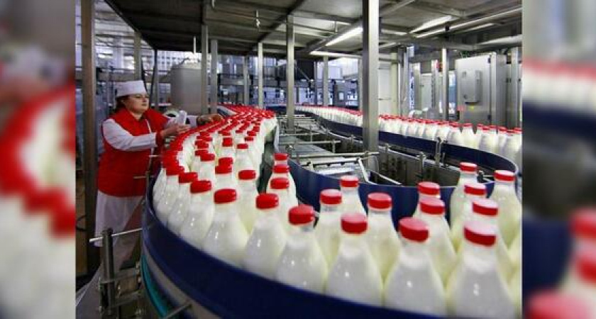 Названы три кубанских производителя молока, которые никогда не фальсифицировали свою продукцию