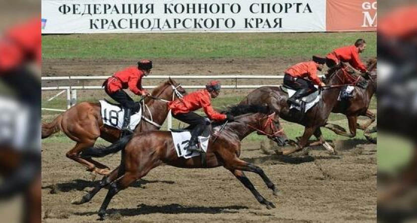 На скачках в Краснодаре лошадь сбросила наездника и потопталась по нему