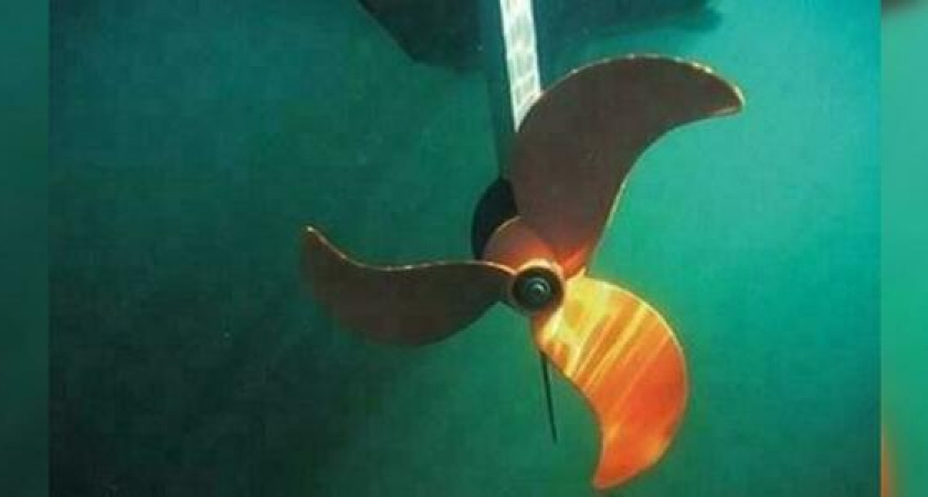 В Сочи катер переехал женщину: пострадавшая скончалась от ран