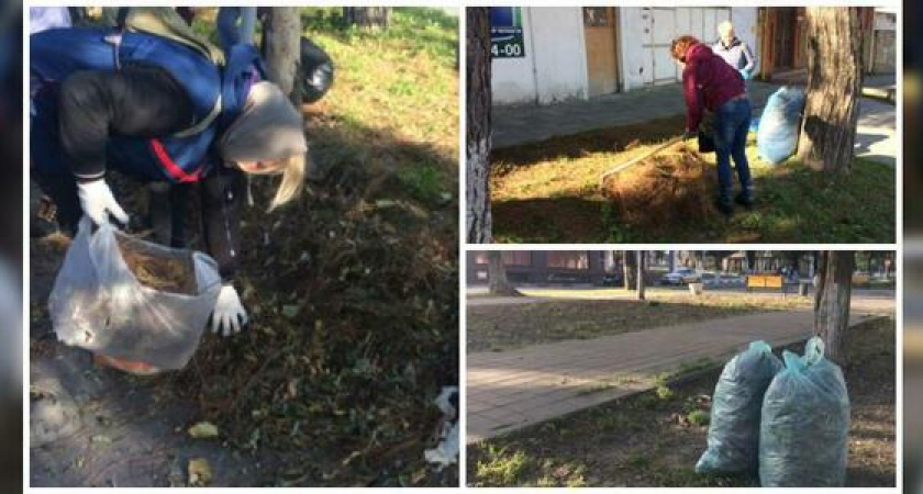 В Новороссийске стало чище: в городе прибрали зеленые зоны