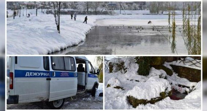 В Горячем Ключе неизвестные зверски убили лебедя редкой породы