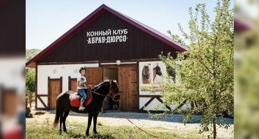 Лошадки из исландских мифов: конные прогулки в Абрау-Дюрсо