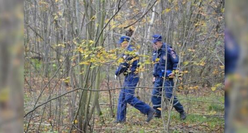 В лесу под Новороссийском местные нашли человеческий череп