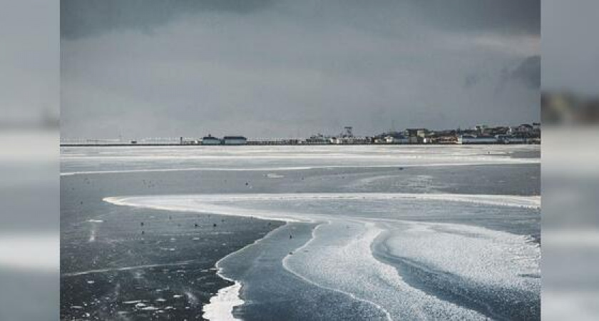 В Новороссийске обледенела Суджукская лагуна: некоторые лебеди не смогли пережить наступившие холода